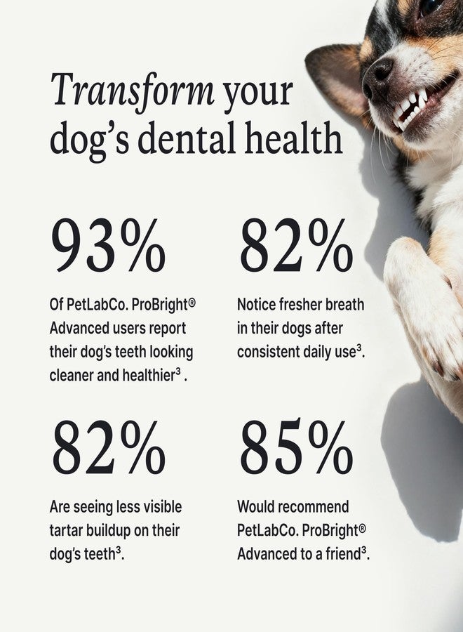 PetLab Co. ProBright Advanced Dental Powder - Dog Breath Freshener - Teeth Cleaning Made Easy – Targets Tartar & Bad Breath - Packaging May Vary - Formulated for Small Dogs - Image 5